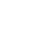Alerion Yachts logo